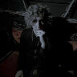 Meet your Posher, Ty